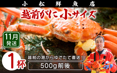 zOɖ{̉zO炨͂IzOɕl䥂ŏTCY (500gOj×1ty11z [e23-x015_11] zO Y YCKj {C ① zO zOKj zO zOJj