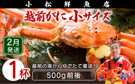 zOɖ{̉zO炨͂IzOɕl䥂ŏTCY (500gOj×1ty2z [e23-x015_02] zO Y YCKj {C ① zO zOKj zO zOJj