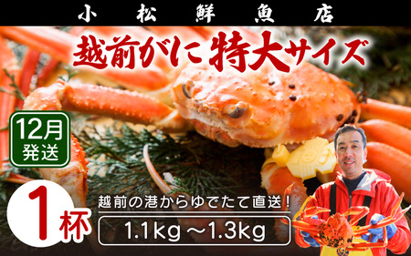 zOɖ{̉zO炨͂IzOɕl䥂œTCYi1.1`1.3kgj×1ty12z [e23-x016_12] zO Y YCKj {C ① zO zOKj zO zOJj