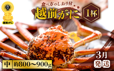 zOɖ{̉zO炨͂IzOɕl䥂ŒTCYiŖ800g`900gj×1ty3z [e57-x003_03] zO Y YCKj {C ① zO zOKj zO zOJj