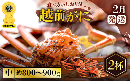 zOɖ{̉zO炨͂IzOɕl䥂ŒTCYiŖ800g`900gj×2ty2z [e57-x004_02] zO Y YCKj {C ① zO zOKj zO zOJj