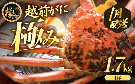 zOɖ{̉zO炨͂IzOɕl䥂ŋɂ1t ɂ()TCYiŖ1.7kg`j×1ty1z [e57-x009_01] zO Y YCKj {C ① zO zOKj zO