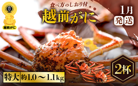 zOɖ{̉zO炨͂IzOɕl䥂 TCY ×2tiŖ1kg`1.1kgjy1z [e57-x006_01] zO Y YCKj {C ① zO zOKj zO zOJj