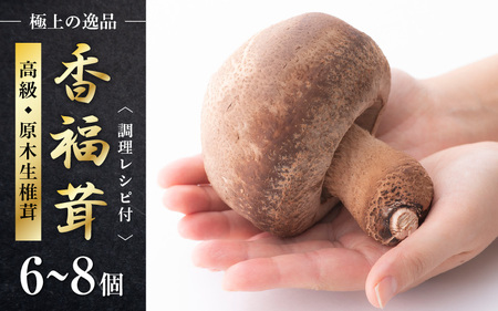 [先行予約] 原木生椎茸「香福茸」6〜8個 高級 極上の逸品!調理レシピ有 [2025年1月上旬〜2月下旬の間で順次発送予定] [e06-b002]