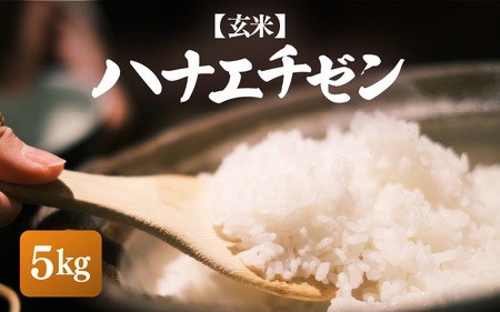 [先行予約][令和7年産・新米]ハナエチゼン 5kg[玄米][お米 こめ はなえちぜん 華越前 人気品種 ブランド米 5キロ 白米 精米 玄米 おにぎり うまい 福井県ブランド 福井県産][10月中旬前後より順次発送予定] [e26-a013_02]
