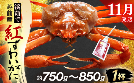 l䥂ŁzOY g킢 × 1tiŖ750g`850gjy11zygYCKj Jj  Izyg킢Ɂz]ws [e80-x002_11]