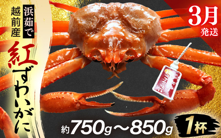 l䥂ŁzOY g킢 × 1tiŖ750g`850gjy3zygYCKj Jj  Izyg킢Ɂz]ws [e80-x002_03]