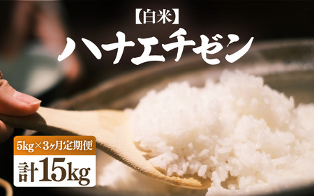 [先行予約][令和7年産・新米]定期便 ≪3ヶ月連続お届け≫ ハナエチゼン 5kg × 3回(合計15kg)[白米][10月中旬前後より順次発送予定][お米 こめ はなえちぜん 華越前 人気品種 ブランド米 5キロ 白米 精米 玄米 おにぎり うまい 福井県ブランド 福井県産] [e26-c001_01]