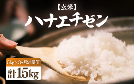 [先行予約][令和7年産・新米]定期便 ≪3ヶ月連続お届け≫ ハナエチゼン 5kg × 3回(合計15kg)[玄米][10月中旬前後より順次発送予定][お米 こめ はなえちぜん 華越前 人気品種 ブランド米 5キロ 白米 精米 玄米 おにぎり うまい 福井県ブランド 福井県産] [e26-c001_02]