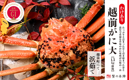 y킯z~̓{C̖ l䥂ŁyzO 1.3kgOz11`3 [e56-x015]