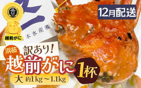 y󂠂zl䥂ŁzO TCYiŖ1kg`1.1kgj × 1t zOÏ ^Otł͂y܂ Y YCKj zOKj p {C ①  Jj I 䌧zy12z]
