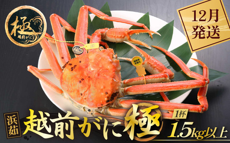 l䥂ŁzO Ɂi1.5kgȏj × 1tyY YCKj zOKj p {C ①  Jj I 䌧zy12z]w lɃ[AhXL [e43-x013