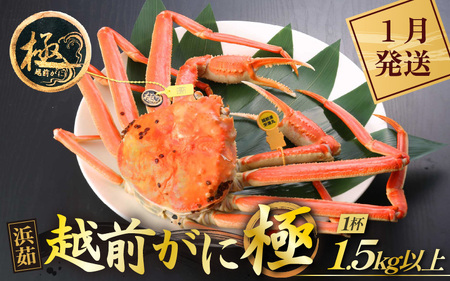 l䥂ŁzO Ɂi1.5kgȏj × 1tyY YCKj zOKj p {C ①  Jj I 䌧zy1z]w lɃ[AhXL [e43-x013_