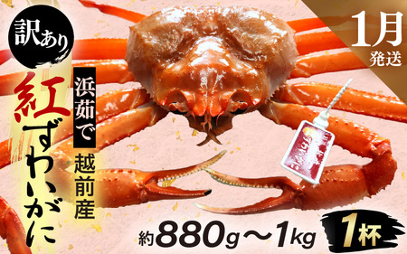 y󂠂zl䥂ŁzOY g킢 × 1tiŖ880g`1kgjygYCKj Jj  Izyg킢Ɂzy1z [e80-x001_01]
