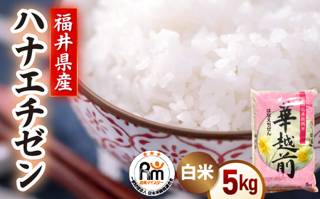 [新米]令和7年産 米 5kg 精米 ハナエチゼン 福井県越前町産[14日以内に出荷予定][白米 5キロ 華越前 はなえちぜん お米 ごはん 人気品種 こしひかり 血統品種 kome] [e66-a007]