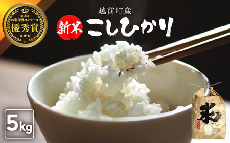 yߘa7NYEVāz Ђ 5kgiāj 䌧Y Ă̔ǋāy R kome 5L   lCi ֗z [e47-a007]