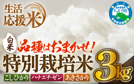 [生活応援米]令和7年産 特別栽培米 3kg [白米] 農薬5割減 [e81-a001_01]