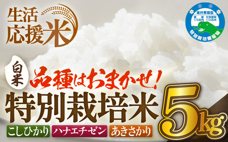 �y���������āz�ߘa7�N�Y  ���ʍ͔|�� 5kg  �y���āz �_��5���� [e81-a002_01]