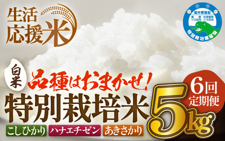 定期便 ≪6ヶ月連続お届け≫  令和7年産 特別栽培米5kg × 6回（計30kg）【白米】農薬5割減 [e81-f001_01]