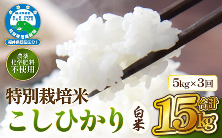 ≪定期便 3ヶ月連続≫[令和7年産 ]特別栽培米コシヒカリ5kg × 3回(計15kg)(白米) 無農薬米 福井県認証区分1取得 [農薬化学肥料不使用] [e81-f002_01]