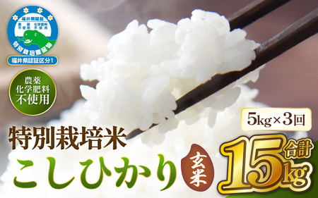 ≪定期便 3ヶ月連続≫[令和7年産 ]特別栽培米コシヒカリ5kg × 3回(計15kg)(玄米) 無農薬米 福井県認証区分1取得 [農薬化学肥料不使用] [e81-f002_02]