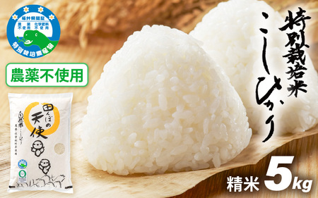 [令和7年産]農薬不使用 特別栽培米コシヒカリ5kg[精米] 福井県認証区分1取得「田んぼの天使」越前町[農薬化学肥料不使用] [e10-b008]