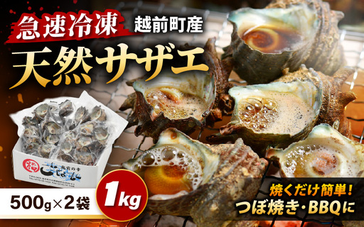 [先行予約]越前町産 天然 サザエ 1kg (500g×2袋)[2026年6月中旬より順次発送][サザエ 海鮮] [e15-a065]