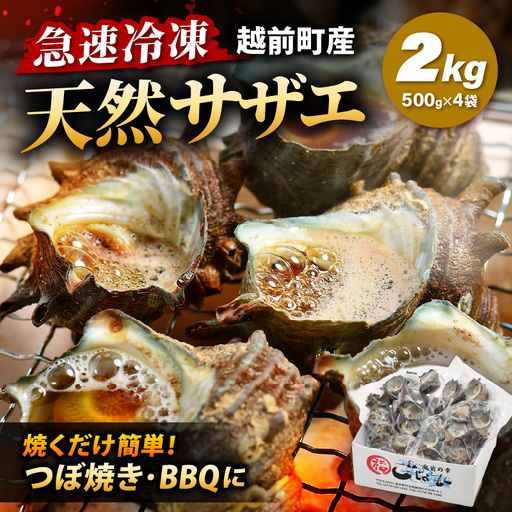 【先行予約】越前町産 天然 サザエ 2kg （500g×4袋）【2026年6月中旬より順次発送】【サザエ 海鮮】 [e15-a066]