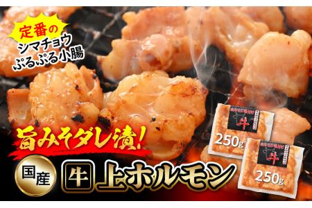 国産牛 上ホルモン 計500g(250g × 2袋)シマチョウ・ぷるぷる小腸のセット 旨みそダレ漬![小分け バーベキュー] [e03-a016]