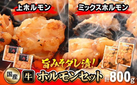 国産 牛ホルモン セット 計800g(上ホルモン・ミックスホルモン 各2袋) 旨みそダレ漬け![冷凍 お手軽 小分け BBQ][e03-a018]