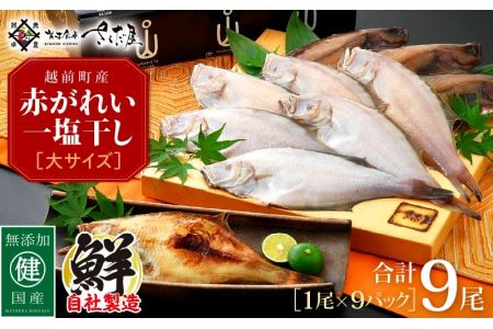 干物 赤がれい一塩干し 大サイズ(1尾 × 9パック入り)1尾約170g[カレイ かれい ひもの 小分け 無添加 冷凍] [e04-a090]