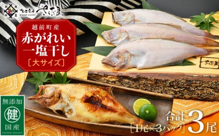 干物 セット 赤がれい 一塩干し 大サイズ (1尾 × 3パック入り)1尾約170g[小分け 個包装 保存料・着色料 無添加] [e04-a091]