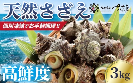 VR  3kg Mp Nx }ⓀyCN BBQ o[xL[ h TUGz [e04-b022]