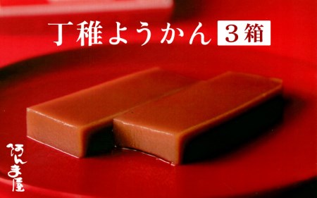 [先行予約]水ようかん「阿んま屋の丁稚羊羹」一枚流し 約250g × 3箱(計750g)[2024年11月上旬以降発送] [e07-a012]