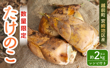 yߘa8NY s\zԓy ̂ 2kg zO {nY ̂ꂽĂYnł͂Iy2026N4{菇\z [e27-a036]