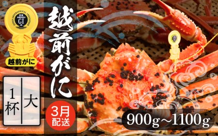 zOɖ{̉zO炨͂IzO l䥂 TCYi0.9`1.1kgj × 1ty3zy Jj Izy䌧 zO Y YCKj {C ① zOKj zO zOJj