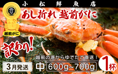 [訳あり]越前がに本場の越前町からお届け!足折れ 越前がに 浜茹で 中サイズ(生で600〜700g) × 1杯[3月発送分][かに カニ 蟹][福井県 越前町 雄 ズワイガニ ボイル 冷蔵 ガニ か カニ ずわいがに ずわい蟹 か ]希望日指定可 備考欄希望日をご記入ください [e23-x001_03]