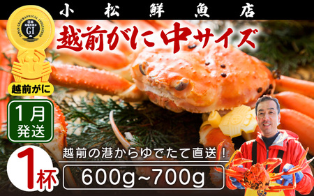 zOɖ{̉zO炨͂IzOɕl䥂ŒTCYi600`700gj×1ty1z [e23-x003_01] zO Y YCKj {C ① zO zOKj zO zOJj