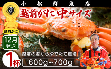 zOɖ{̉zO炨͂IzOɕl䥂ŒTCYi600`700gj×1ty12z [e23-x003_12] zO Y YCKj {C ① zO zOKj zO zOJj