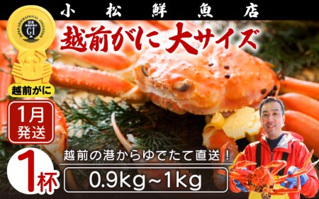 zOɖ{̉zO炨͂IzOɕl䥂őTCYi0.9`1kgj×1ty1z [e23-x004_01] zO Y YCKj {C ① zO zOKj zO zOJj