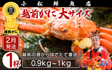 zOɖ{̉zO炨͂IzOɕl䥂őTCYi0.9`1kgj×1ty2z [e23-x004_02] zO Y YCKj {C ① zO zOKj zO zOJj
