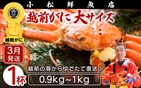 zOɖ{̉zO炨͂IzOɕl䥂őTCYi0.9`1kgj×1ty3z [e23-x004_03] zO Y YCKj {C ① zO zOKj zO zOJj