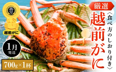 越前がに本場の越前町からお届け！越前がに浜茹で 小サイズ（生で700g以上）×1杯【1月発送】 [e14-x005_01] 越前町 雄 ズワイガニ ボイル 冷蔵 越前がに 越前ガニ 越前かに 越前カニ