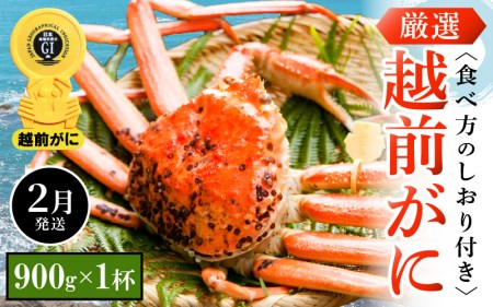 越前がに本場の越前町からお届け！越前がに浜茹で 中サイズ（生で900g以上）×1杯【2月発送】 [e14-x006_02] 越前町 雄 ズワイガニ ボイル 冷蔵 越前がに 越前ガニ 越前かに 越前カニ