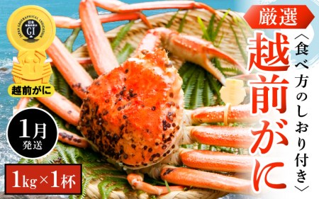 越前がに本場の越前町からお届け！越前がに浜茹で 大サイズ（生で1kg以上）×1杯【1月発送】 [e14-x007_01] 越前町 雄 ズワイガニ ボイル 冷蔵 越前がに 越前ガニ 越前かに 越前カニ
