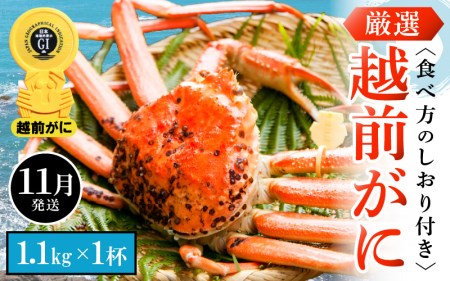 zOɖ{̉zO炨͂IzOɕl䥂 TCYi1.1kgȏj×1ty11z [e14-x008_11] zO Y YCKj {C ① zO zOKj zO zOJj