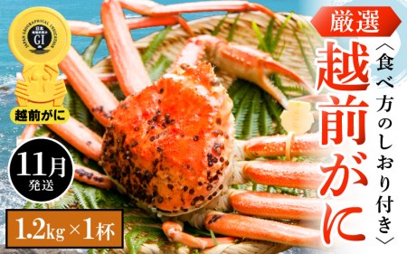 zOɖ{̉zO炨͂IzOɕl䥂 TCYi1.2kgȏj×1ty11z [e14-x009_11] zO Y YCKj {C ① zO zOKj zO zOJj