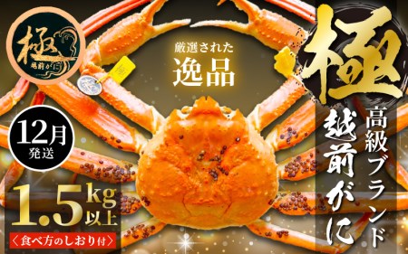 zOɖ{̉zO炨͂IzOɕl䥂 ɂ݃TCYi1.5kgȏj×1ty12z [e14-x012_12] zO Y YCKj {C ① zO zOKj zO zOJj