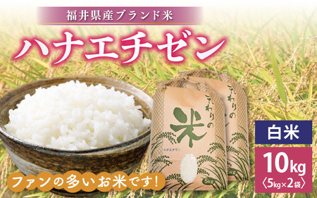 ハナエチゼン 10kg 令和5年 福井県産【白米】【お米 はなえちぜん 華越前 10キロ】 [e30-a059]