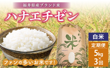 定期便≪3ヶ月連続お届け≫ハナエチゼン 5kg × 3回 令和6年 福井県産[白米][お米 華越前 計15キロ] [e30-b008]